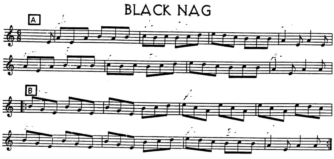 black nag